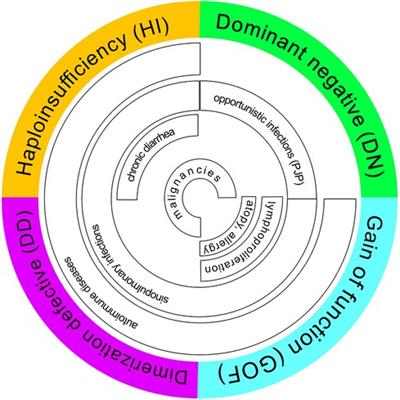 IKAROS—how many feathers have you lost: mild and severe phenotypes in IKZF1 deficiency